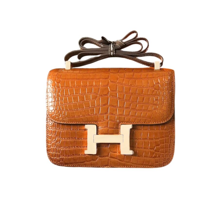 Hermès Mini Constance 19 Shiny Alligator Palladium Hardware Gold 19Cm