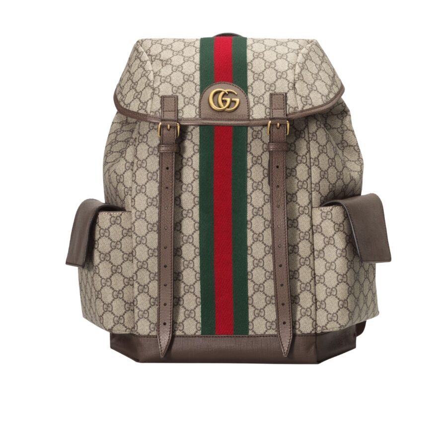 Gucci Ophidia Gg Medium Large Backpack 40Cm 598140 Huhat 8564